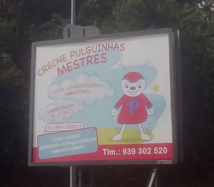 Creche Pulguinhas Mestres