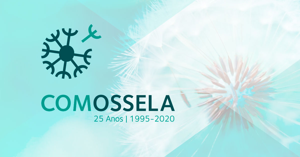 Foto 1 de Comossela-Comissão de Melhoramentos de Ossela IPSS