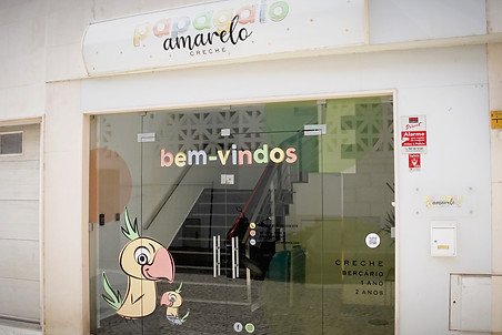 Foto 1 de Papagaio Amarelo