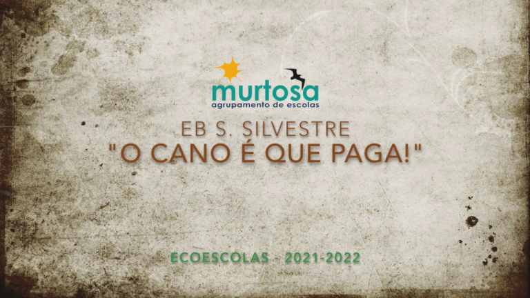 Escola Básica de São Silvestre, Murtosa