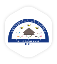Cooperativa de Ensino A Colmeia