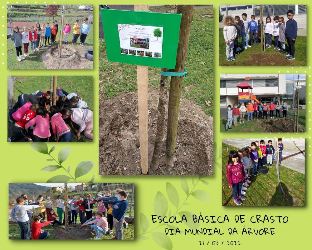 Escola Básica de Crasto, Ponte da Barca
